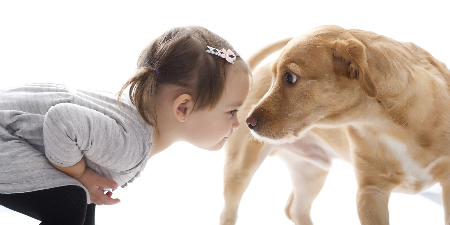 pets