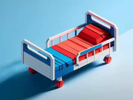 Essential Hospital Income